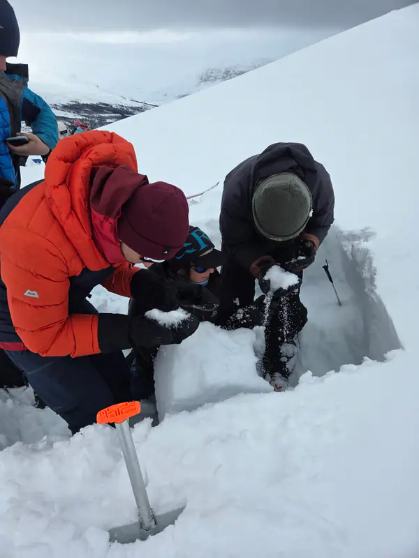 Kursdeltakere graver snøprofil og undersøker snødekket